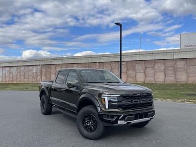 New 2024 Ford F-150 Raptor SuperCrew Cab 4WD, Pickup for sale #D240499 - photo 1