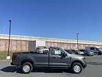 New 2024 Ford F-150 XL Regular Cab 4WD, Pickup for sale #D240515 - photo 11