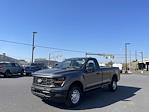 New 2024 Ford F-150 XL Regular Cab 4WD, Pickup for sale #D240515 - photo 6