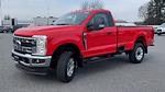 New 2024 Ford F-350 XLT Regular Cab 4x4, Pickup for sale #47968 - photo 6