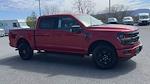 New 2024 Ford F-150 XLT SuperCrew Cab 4x4, Pickup for sale #48112 - photo 3