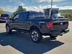 New 2024 Ford F-150 STX SuperCrew Cab 4WD, Pickup for sale #48269 - photo 10