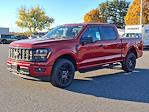 New 2024 Ford F-150 STX SuperCrew Cab 4WD, Pickup for sale #48299 - photo 5