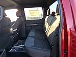 New 2024 Ford F-150 STX SuperCrew Cab 4WD, Pickup for sale #48299 - photo 8