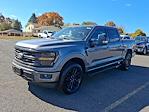 2024 Ford F-150 SuperCrew Cab 4WD, Pickup for sale #48419 - photo 3