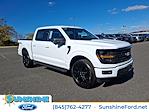 New 2024 Ford F-150 XLT SuperCrew Cab 4WD, Pickup for sale #48475 - photo 1