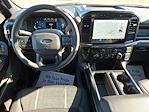 New 2024 Ford F-150 STX SuperCrew Cab 4WD, Pickup for sale #48253 - photo 15