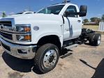 New 2024 Chevrolet Silverado 5500 Work Truck Regular Cab 4WD, Cab Chassis for sale #9079N - photo 1