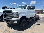 New 2024 Chevrolet Silverado 5500 Work Truck Crew Cab 4WD, Cab Chassis for sale #9135N - photo 1