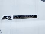 2024 Ford F-650 Regular Cab DRW 4x2, Cab Chassis for sale #331713 - photo 13