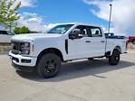 2024 Ford F-350 Crew Cab SRW 4x4, Pickup for sale #332829 - photo 4