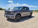 2024 Ford F-150 SuperCrew Cab 4x4, Pickup for sale #333099 - photo 4