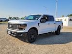 2024 Ford F-150 SuperCrew Cab 4x4, Pickup for sale #333327 - photo 4