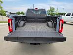 2024 Ford F-250 Crew Cab 4x4, Pickup for sale #333369 - photo 14