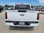 2024 Ford F-150 SuperCrew Cab 4x4, Pickup for sale #333575 - photo 12