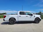 2024 Ford F-150 SuperCrew Cab 4x4, Pickup for sale #333603 - photo 3