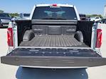 2024 Ford F-150 SuperCrew Cab 4x4, Pickup for sale #333677 - photo 13