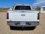 2024 Ford F-150 SuperCrew Cab 4x4, Pickup for sale #333750 - photo 12