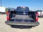 2024 Ford F-350 Crew Cab DRW 4x4, Pickup for sale #333886 - photo 15