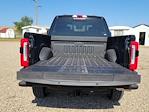 2024 Ford F-250 Crew Cab 4x4, Pickup for sale #333919 - photo 13