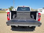 2024 Ford F-350 Crew Cab SRW 4x4, Pickup for sale #333921 - photo 14