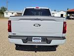 2024 Ford F-150 SuperCrew Cab 4x4, Pickup for sale #333935 - photo 13