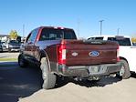 2017 Ford F-250 Crew Cab 4x4, Pickup for sale #333960A - photo 2