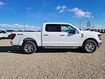 New 2024 Ford F-150 XLT SuperCrew Cab 4x4, Pickup for sale #334239 - photo 3