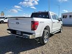 New 2024 Ford F-150 XLT SuperCrew Cab 4x4, Pickup for sale #334239 - photo 2