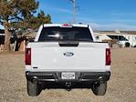 New 2024 Ford F-150 STX SuperCrew Cab 4x4, Pickup for sale #334296 - photo 12