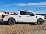 New 2024 Ford F-150 STX SuperCrew Cab 4x4, Pickup for sale #334296 - photo 3