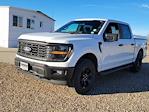 New 2024 Ford F-150 STX SuperCrew Cab 4x4, Pickup for sale #334296 - photo 4