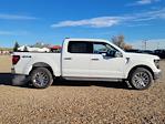 New 2024 Ford F-150 XLT SuperCrew Cab 4x4, Pickup for sale #334305 - photo 3