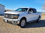 New 2024 Ford F-150 XLT SuperCrew Cab 4x4, Pickup for sale #334305 - photo 4