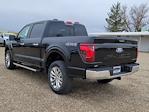 New 2024 Ford F-150 XLT SuperCrew Cab 4x4, Pickup for sale #334374 - photo 5