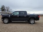 New 2024 Ford F-150 XLT SuperCrew Cab 4x4, Pickup for sale #334374 - photo 6