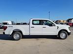 New 2024 Ford F-150 XL SuperCrew Cab 4x4, Pickup for sale #334407 - photo 3