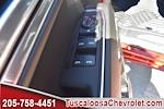 2025 Chevrolet Silverado 1500 Crew Cab 4x4, Pickup for sale #104487 - photo 12