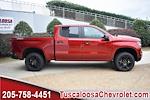 2025 Chevrolet Silverado 1500 Crew Cab 4x4, Pickup for sale #109069 - photo 10