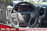 2025 Chevrolet Silverado 3500 Regular Cab 4x4, Pickup for sale #117113 - photo 15