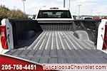 2025 Chevrolet Silverado 3500 Regular Cab 4x4, Pickup for sale #117113 - photo 9