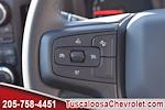 2025 Chevrolet Silverado 3500 Regular Cab 4x4, Pickup for sale #117728 - photo 16