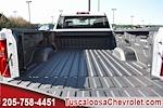 2025 Chevrolet Silverado 3500 Regular Cab 4x4, Pickup for sale #117728 - photo 9