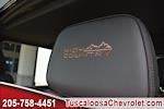 2025 Chevrolet Silverado 2500 Crew Cab 4x4, Pickup for sale #130585 - photo 17