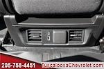 2025 Chevrolet Silverado 1500 Crew Cab 4x2, Pickup for sale #149231 - photo 16