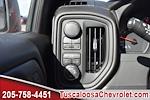 2025 Chevrolet Silverado 1500 Crew Cab 4x4, Pickup for sale #150062 - photo 28