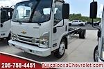 2025 Chevrolet LCF 4500HG Regular Cab 4x2, Cab Chassis for sale #203498 - photo 3