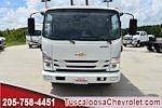 2025 Chevrolet LCF 4500HG Crew Cab 4x2, Cab Chassis for sale #204534 - photo 3