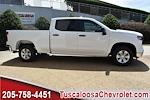 2024 Chevrolet Silverado 1500 Crew Cab 4x2, Pickup for sale #308155 - photo 10