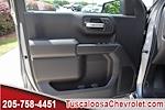 2024 Chevrolet Silverado 1500 Double Cab 4x2, Pickup for sale #323174 - photo 10